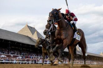18 Fun Facts About the Belmont Stakes in 2025