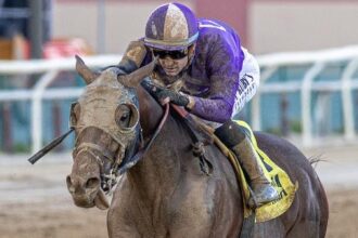 2025 Belmont Stakes Prospect Profiles: Peter Pan Stakes Winner Hill Road