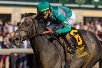2025 Preakness Prospect Profiles: Lexington Stakes Winner Gosger