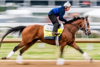 2025 Preakness Stakes Cheat Sheet