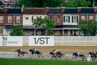 2025 Preakness bets at a glance