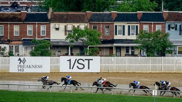 2025 Preakness bets at a glance