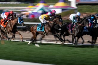2025 Shoemaker Mile Stakes bet at a glance
