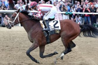2025 Triple Crown Outlook Profile: What we learned about Preakness's Journalism