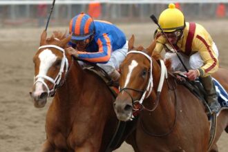 Belmont winners take wealth away in her own league