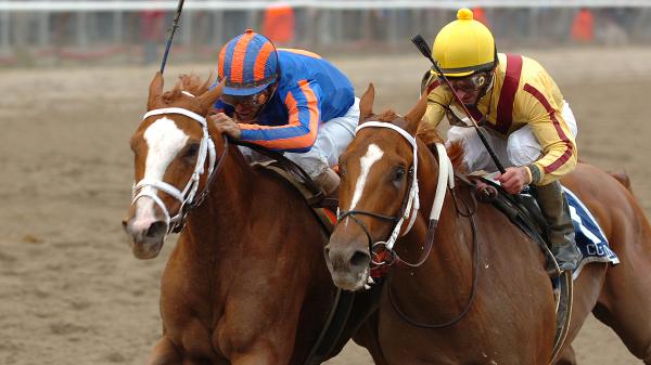 Belmont winners take wealth away in her own league