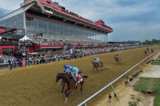 Betting menu, Preakness Post Times and Black-Eyed Susan cards at Pimlico
