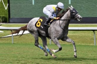 Biancone believes that 2-to-2 Rennil is the "right horse" of Royal Ascott