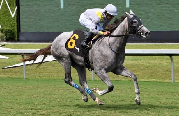 Biancone believes that 2-to-2 Rennil is the "right horse" of Royal Ascott