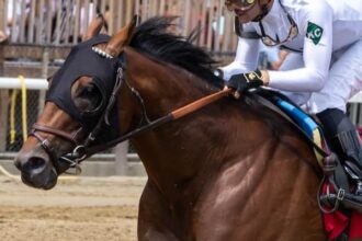 Brisset is seeking double-graded stakes at Churchill on Saturday