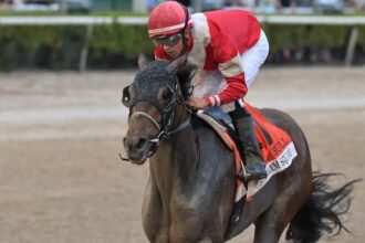 Burnham Square aims to be Matt Winn