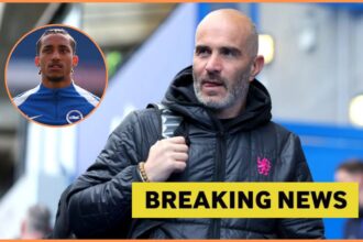 Chelsea prepares £50 million offer for wanted strikers by Liverpool and Newcastle
