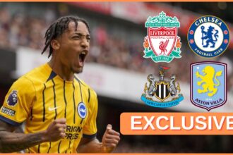 Exclusive: 60 million euro Brighton star selected by four Premier League clubs