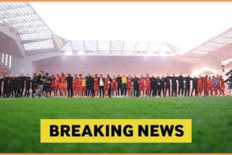 Liverpool players celebrate together after winning the Premier League title