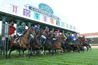 Canterbury Park looks at the big field before the first day