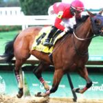 Chillukki winners get two sharp returns in the colour of victory