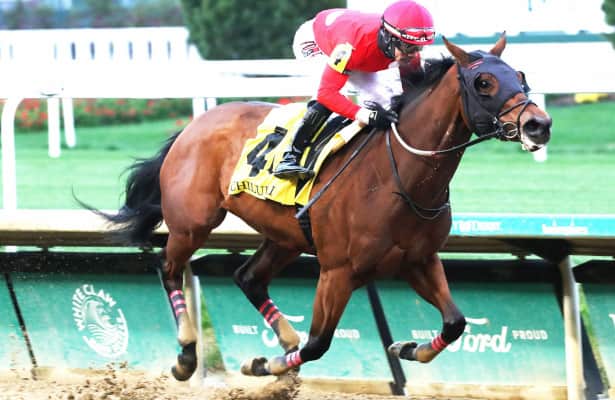 Chillukki winners get two sharp returns in the colour of victory