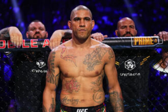 Alex Pereira, Daniel Cormier, UFC, MMA