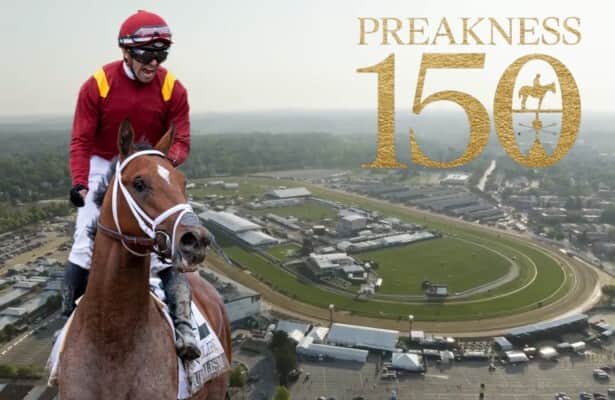 Drawing, jockey, morning line odds
