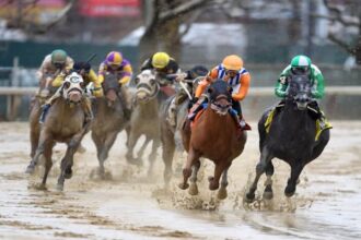 Dubyunell leads 13 Grader Stakes winners on the tab