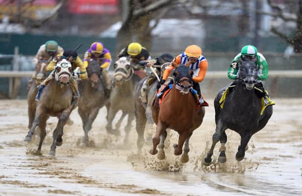 Dubyunell leads 13 Grader Stakes winners on the tab