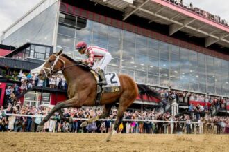 Equibase Ranking: Preakness Win Will Move Journalism Second with 2025 Revenue