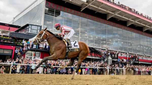 Equibase Ranking: Preakness Win Will Move Journalism Second with 2025 Revenue