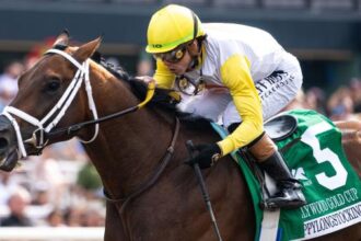 Equibase rankings: Saffie Joseph Jr., Irad Ortiz Jr. Shine on Memorial Day