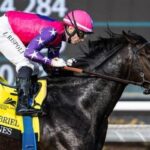 Grade 1 winner Johannes is approaching his first job of the year