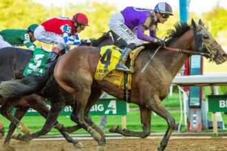 Hill Road wins Peter Pan and the Belmont Stakes could be next