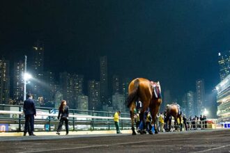 Hong Kong Wednesday Morning: Picks, Analysis, pps