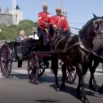 A carriage being pulled by black horses.