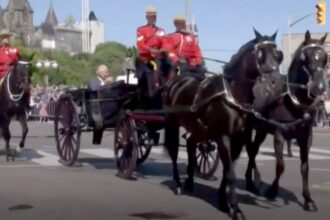 A carriage being pulled by black horses.