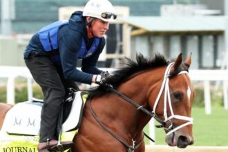Kentucky Derby runner-up Journalism confirmed Preakness's bet