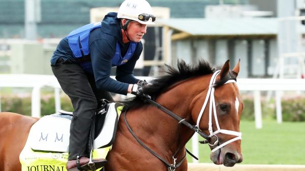 Kentucky Derby runner-up Journalism confirmed Preakness's bet