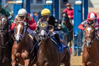 Noel's Weekend Winner: Charming Saturday Betting at Aqueduct