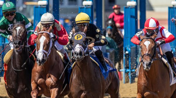 Noel's Weekend Winner: Charming Saturday Betting at Aqueduct