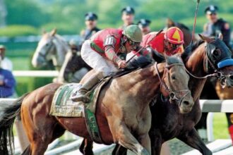 Number: 2025 Belmont Stakes