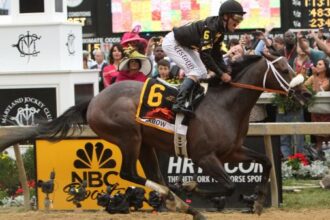 Number: 2025 Preakness Stakes