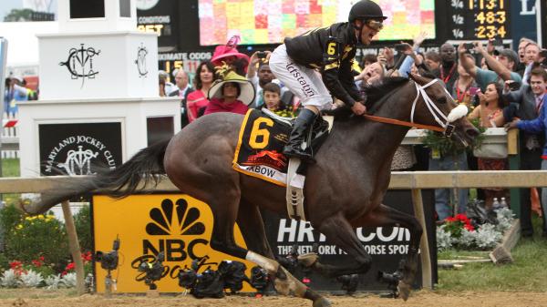 Number: 2025 Preakness Stakes