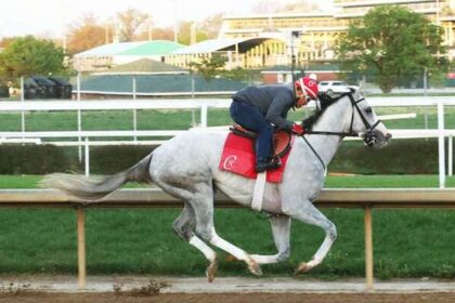 Popular greys enter Preakness