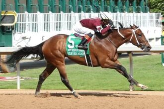 Preakness Stakes 2025: Odds and Analysis