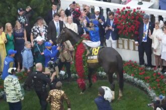 Preakness, Target Belmont Stakes, bypassing the sovereignty of the Kentucky Derby winners