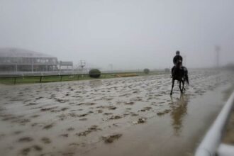 Preakness Weather Forecast is heading for the better