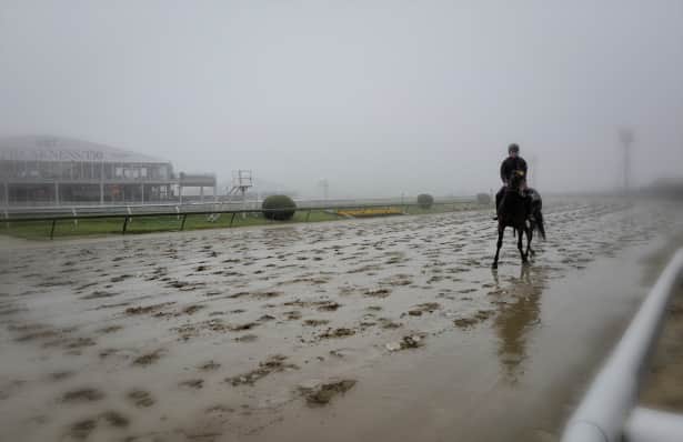 Preakness Weather Forecast is heading for the better