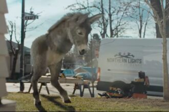 A CGI donkey with half a body.