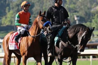 Sadler chooses to run the Alphabera with Santa Margarita
