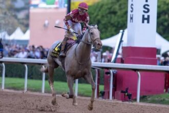 Sandman will be shipped to Saratoga to prepare for Jim Dandy