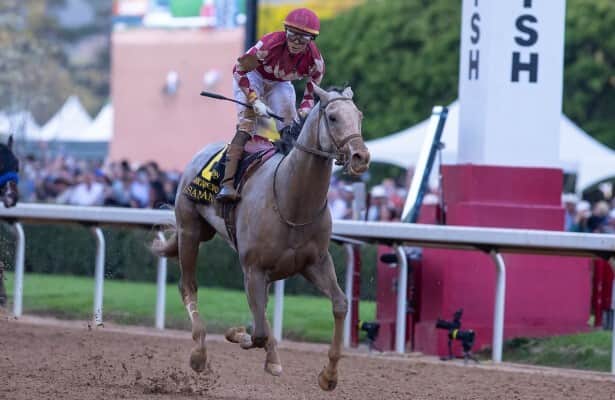 Sandman will be shipped to Saratoga to prepare for Jim Dandy