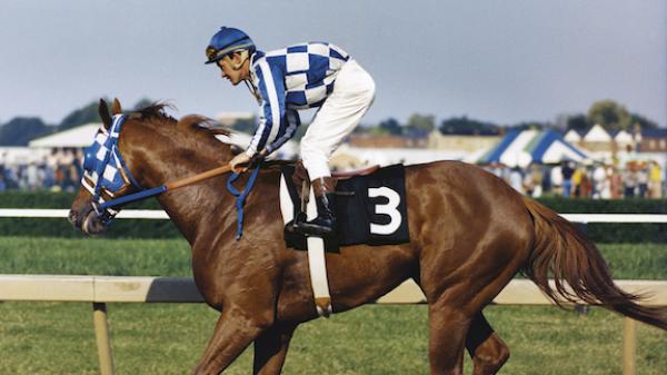Secretariat, Preakness, 39 years of controversy
